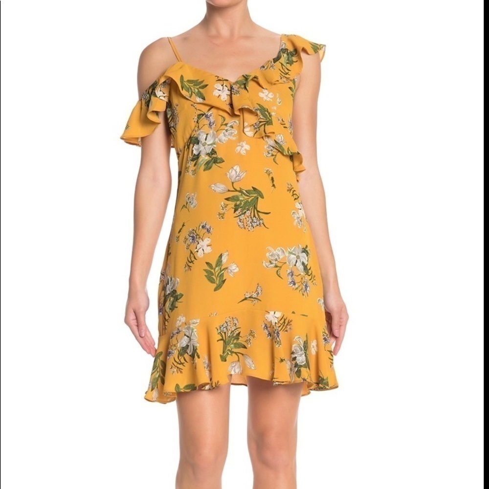 HEARTLOOM/REVOLVE. Harper Floral Ruffle Trim Mini